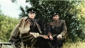 летом в левашово