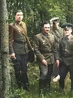в левашовском лесу